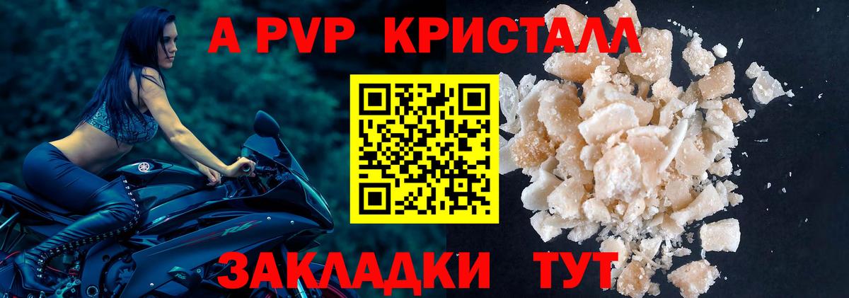 A-PVP СК Новошахтинск