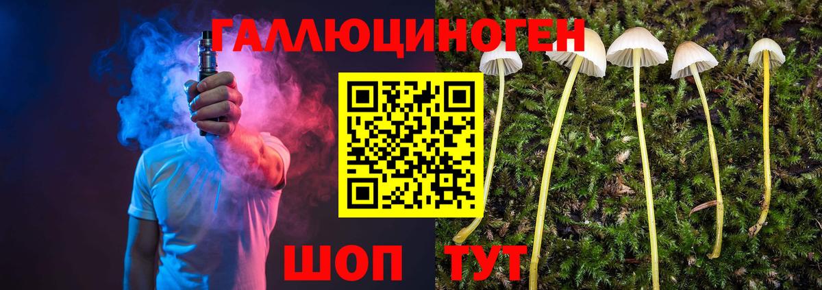 Псилоцибиновые грибы мухоморы  Псилоцибиновые грибы прущие грибы  Новошахтинск  Вход с VPN 