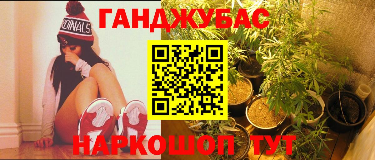 Шишки марихуана ГИДРОПОН Новошахтинск